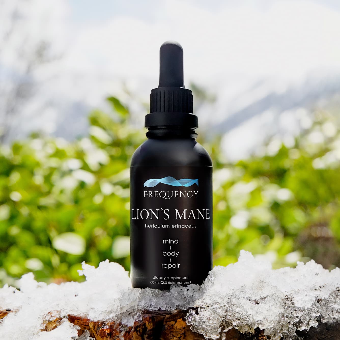 Lion's Mane Tincture